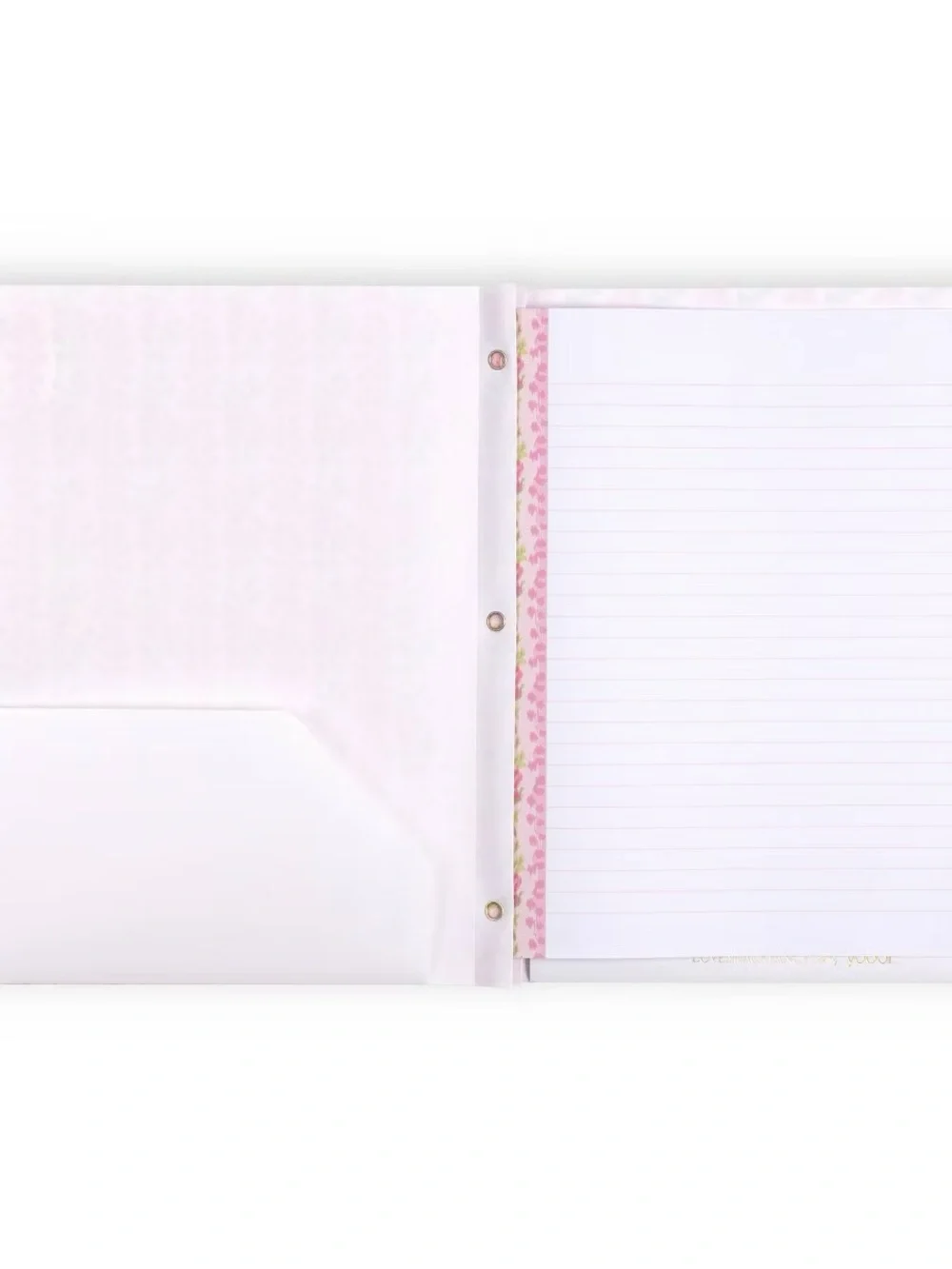🩷💙🎯 LoveShackFancy x Target - Yoobi 2pk Poly Prong Folders